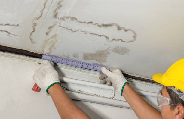 Reliable Basement Water Removal contractor in Clarksburg, OH by Water Damage Irwin